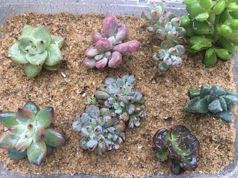 ���������С�ջ�