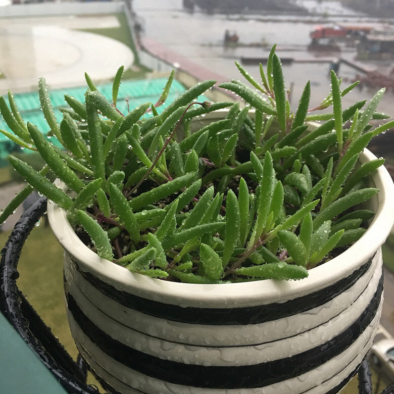 ���������С�ջ�