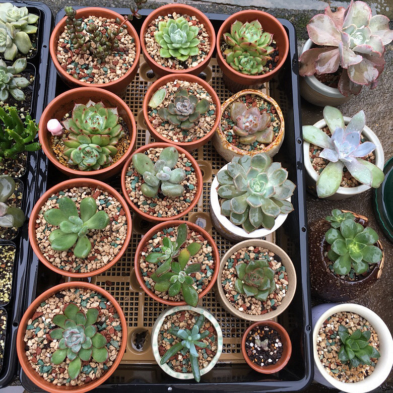 ���������С�ջ�