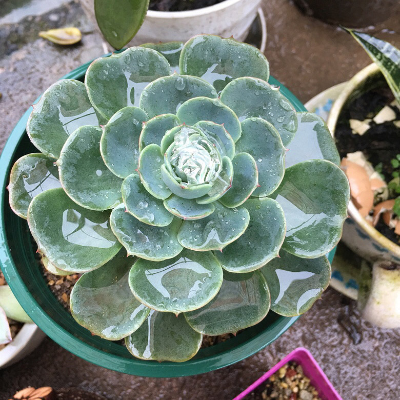 ���������С�ջ�