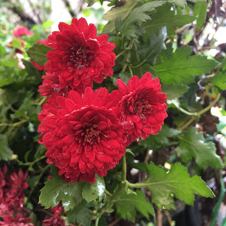 ���������С�ջ�