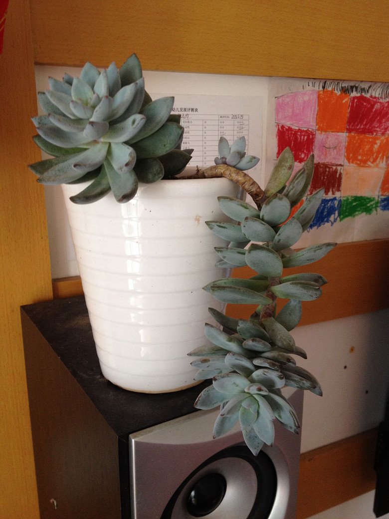 �ֵ���õ�һ����⡤˪֮��