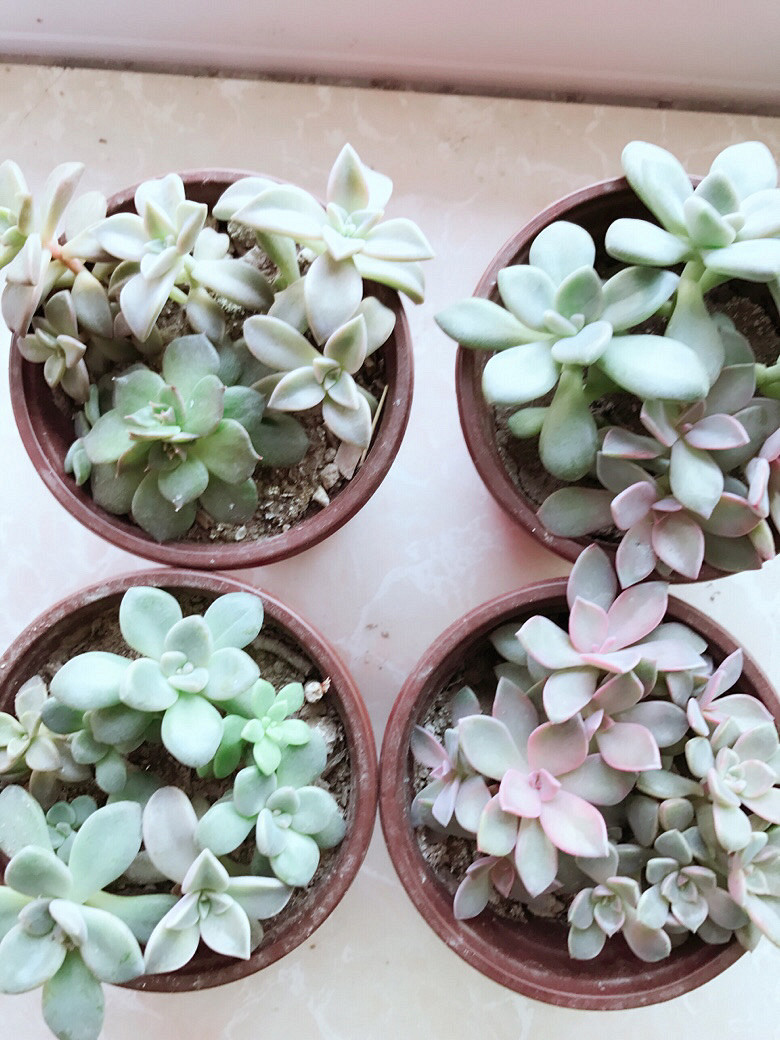 �ֵ���õ�һ������