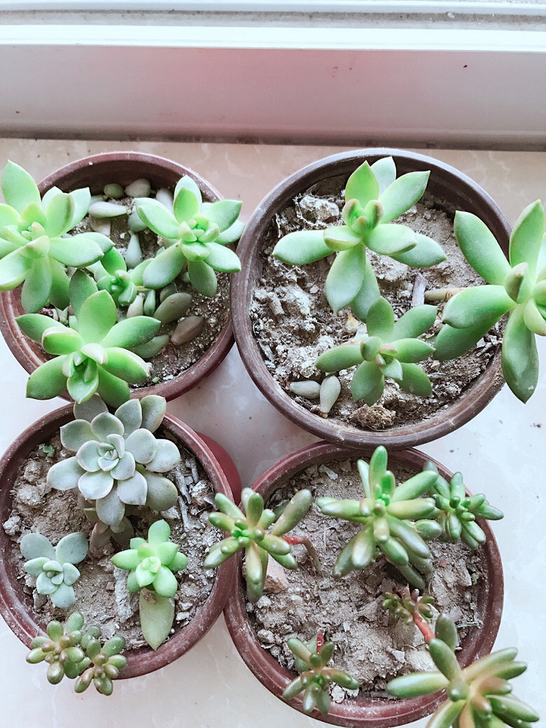 �ֵ���õ�һ������