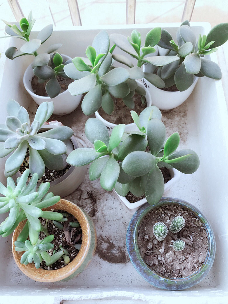 �ֵ���õ�һ������