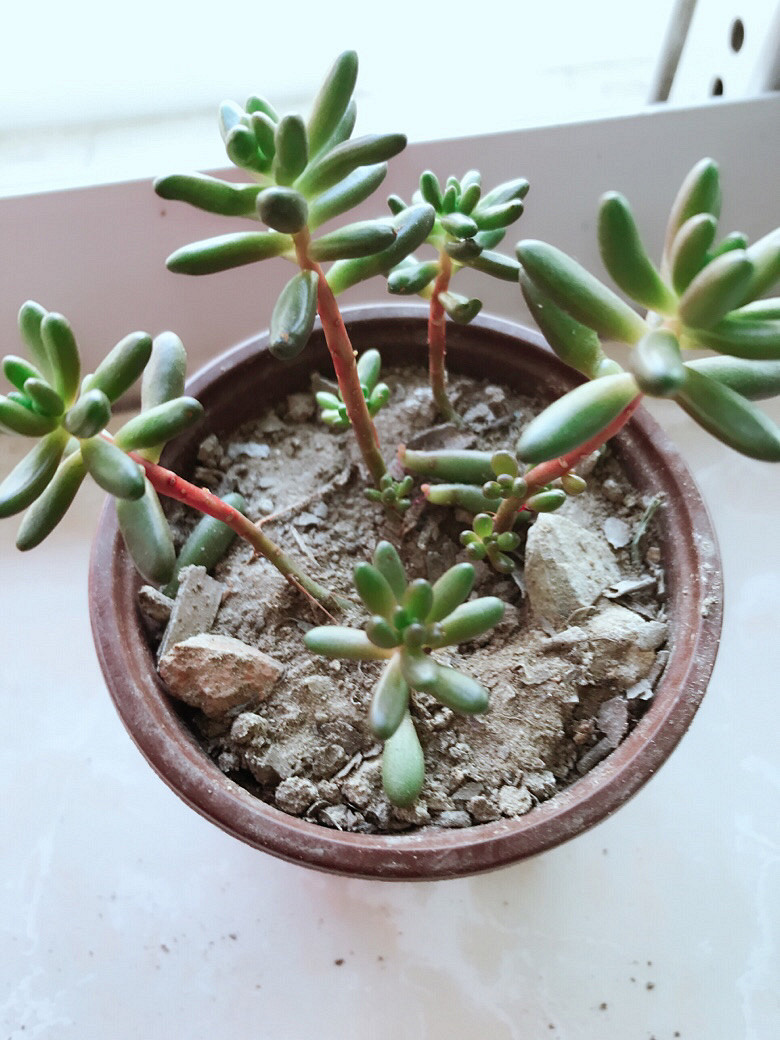 �ֵ���õ�һ������