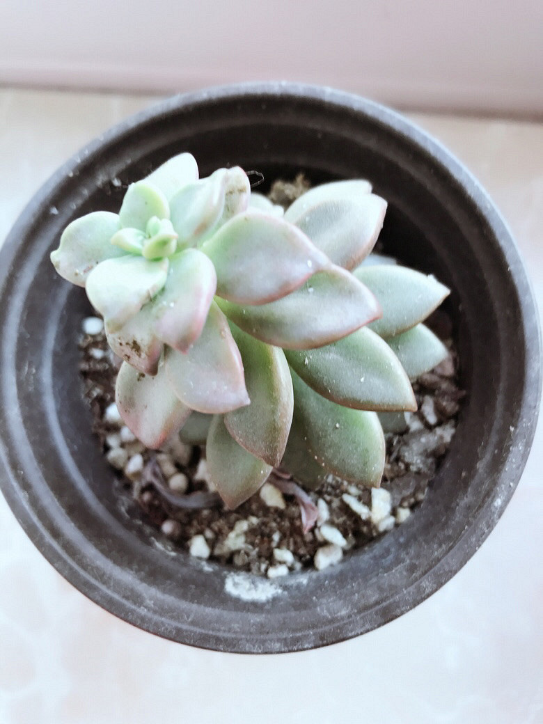 �ֵ���õ�һ������