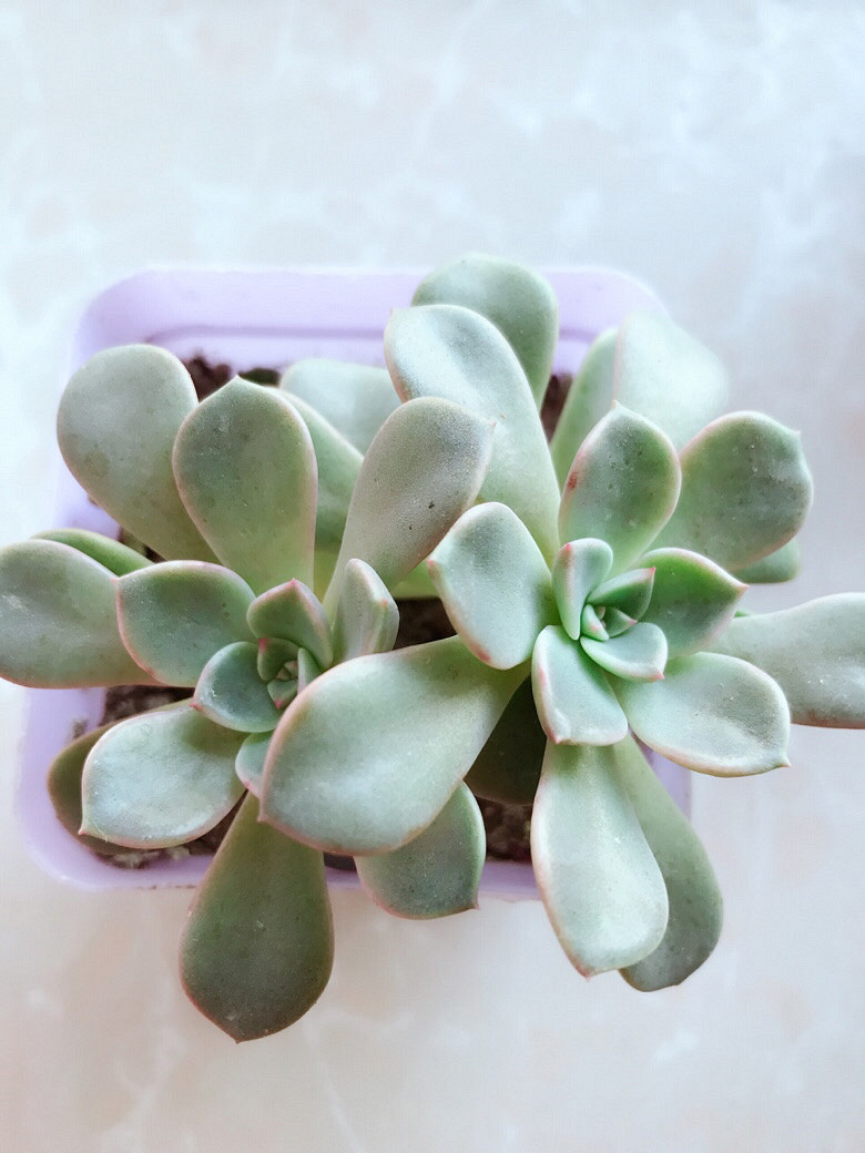 �ֵ���õ�һ������