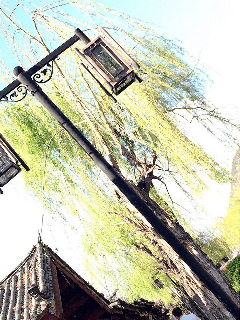 �ܾ��û��ǵ����ã��������ڵ����������ô