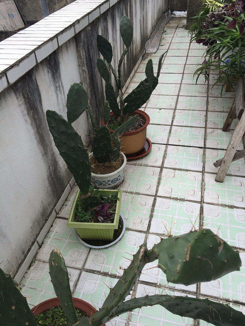 ��ӭ��λ������ɫֲ��