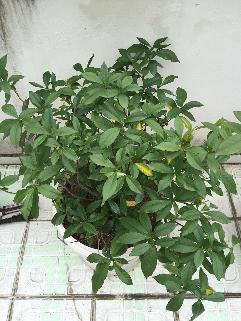 ��ӭ��λ������ɫֲ��