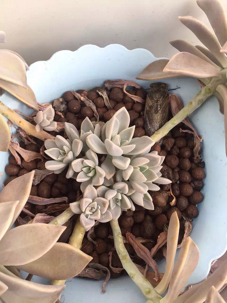 [�ֵ���õ�һ�����]