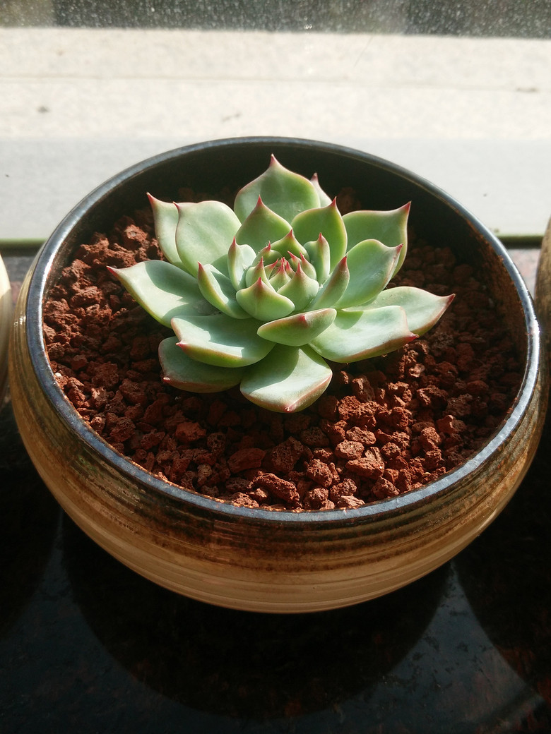 ����һ��Ķ��⣬�ֻ�ԭͼ