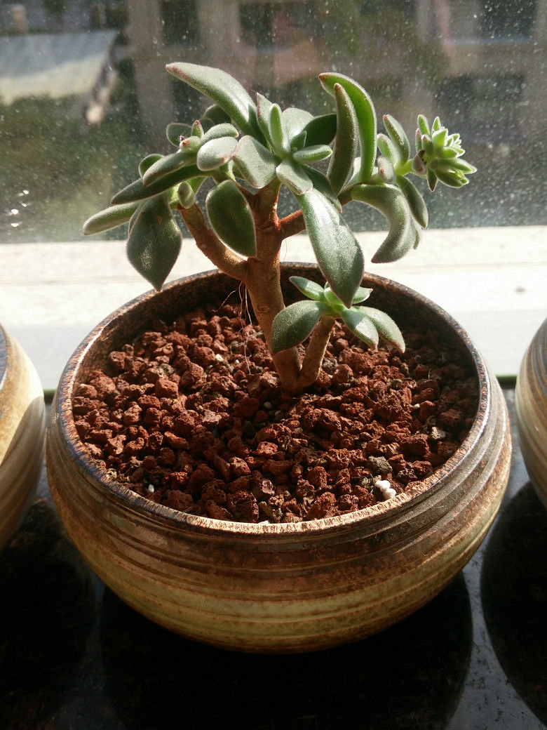 ����һ��Ķ��⣬�ֻ�ԭͼ