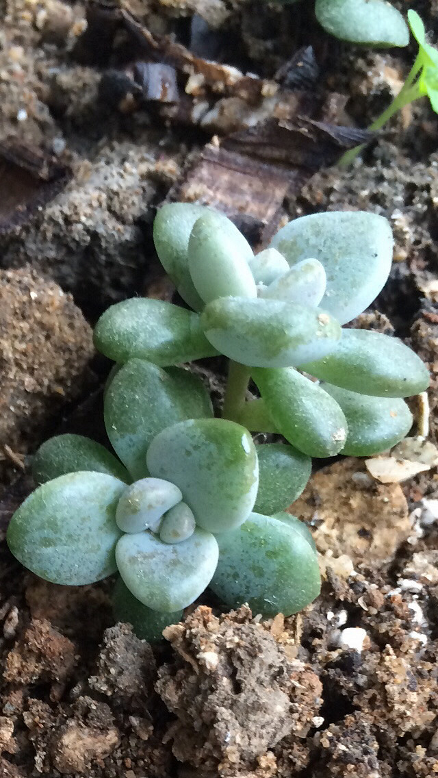 ɹɹ�Ҽҵ�����