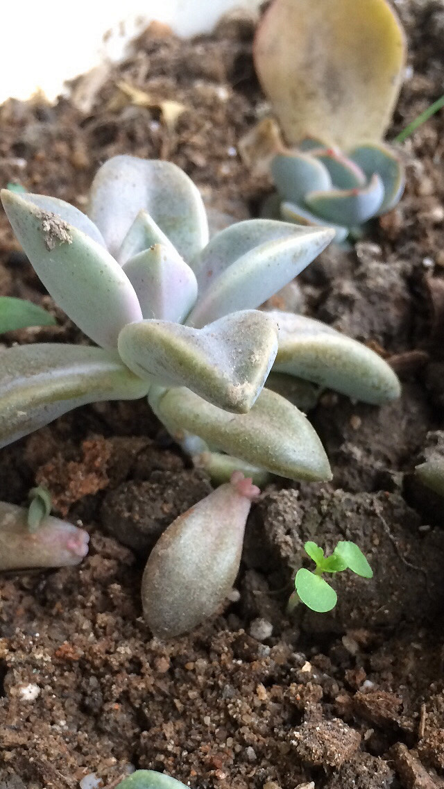 ɹɹ�Ҽҵ�����