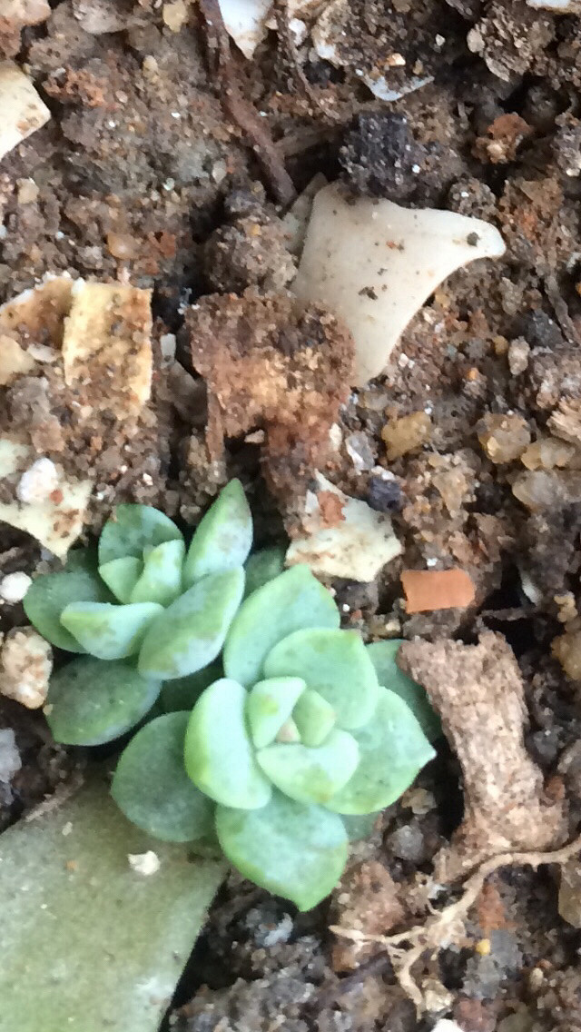 ɹɹ�Ҽҵ�����