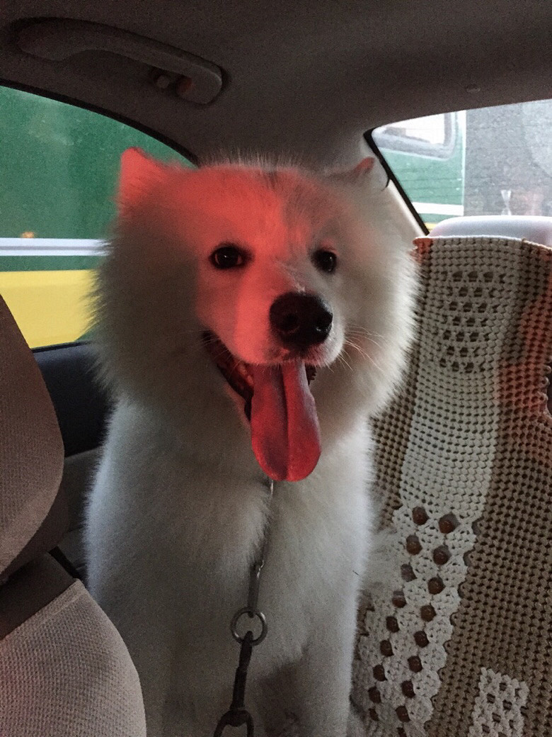 ����