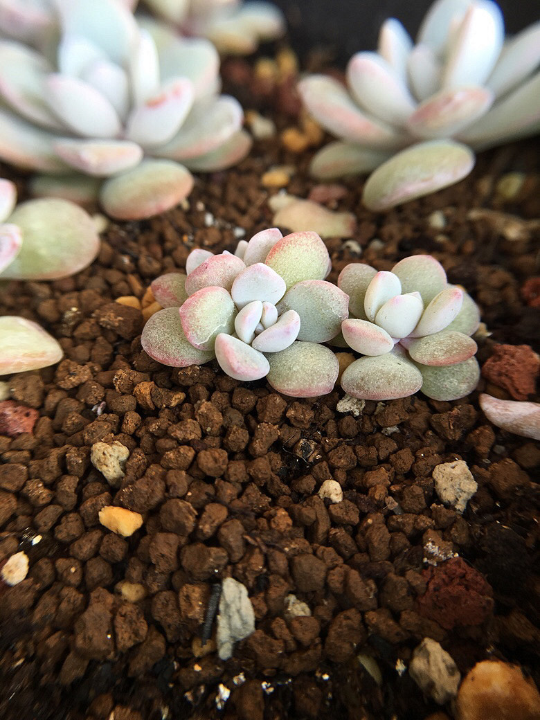 ��ϲ���Ķ���