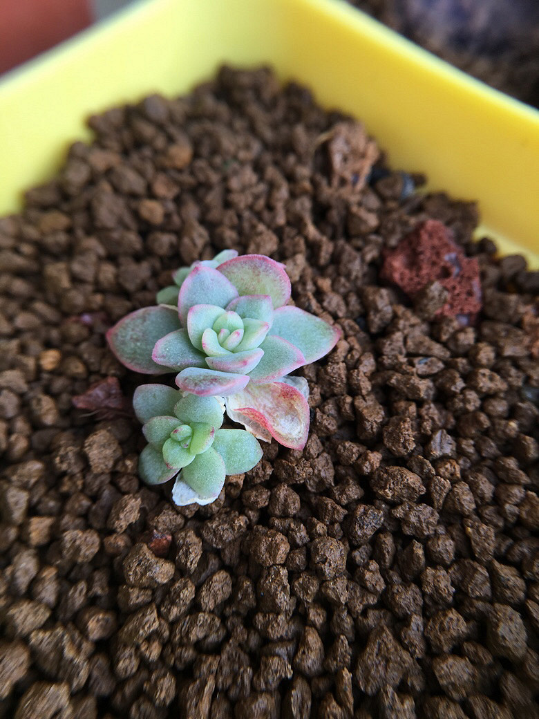 ��ϲ���Ķ���