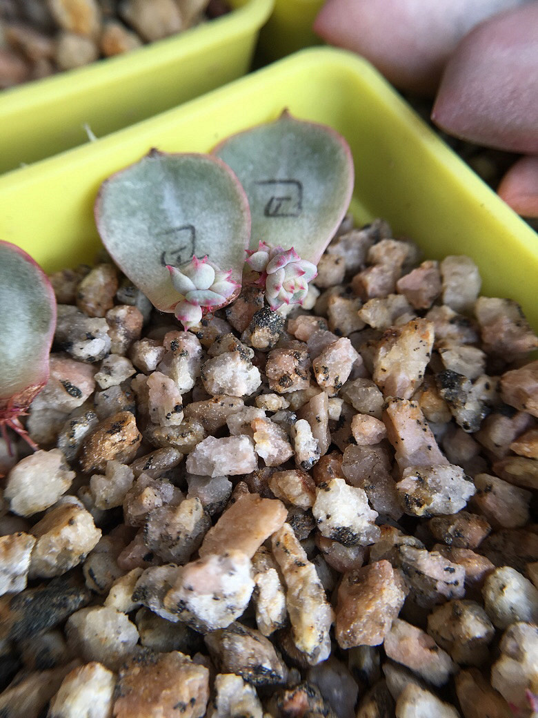 ��ϲ���Ķ���