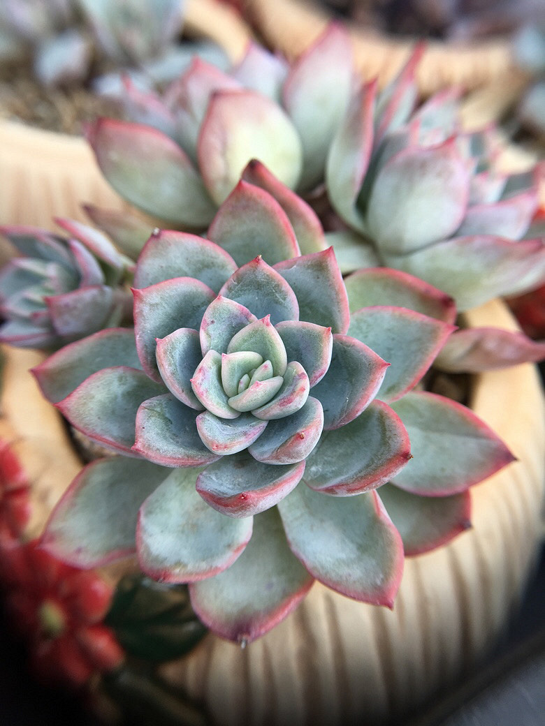 ��ϲ���Ķ���