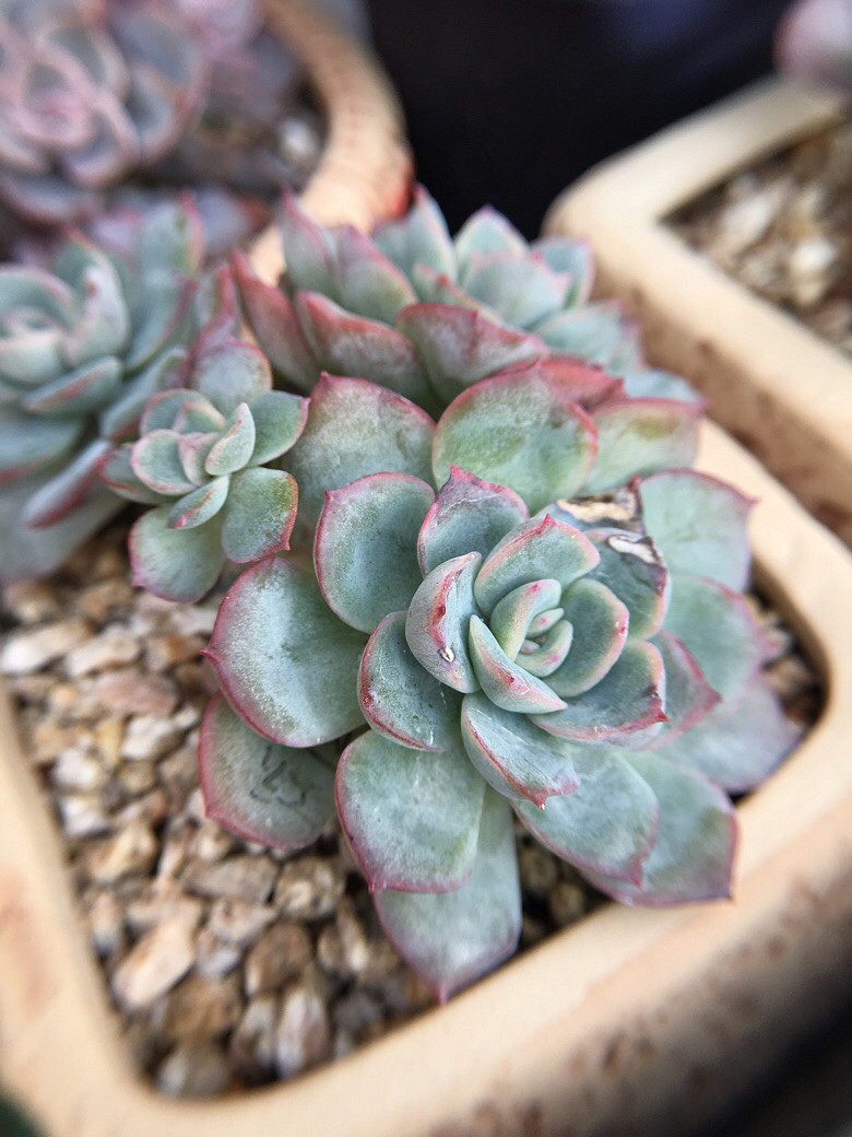 ��ϲ���Ķ���