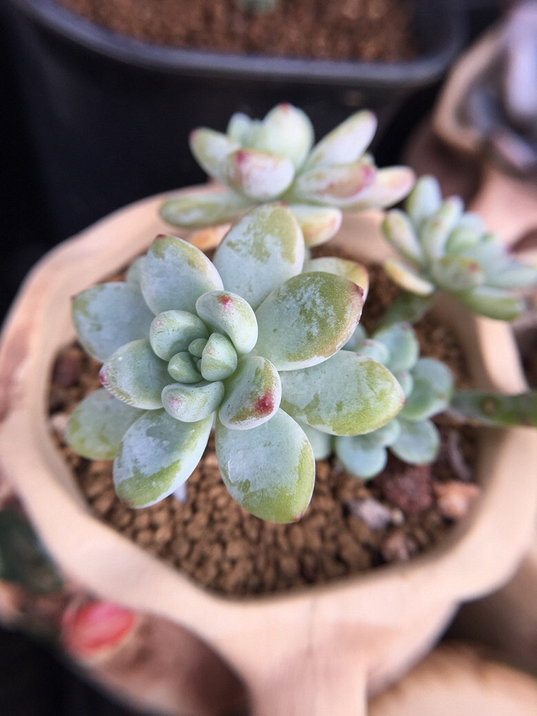 ��ϲ���Ķ���