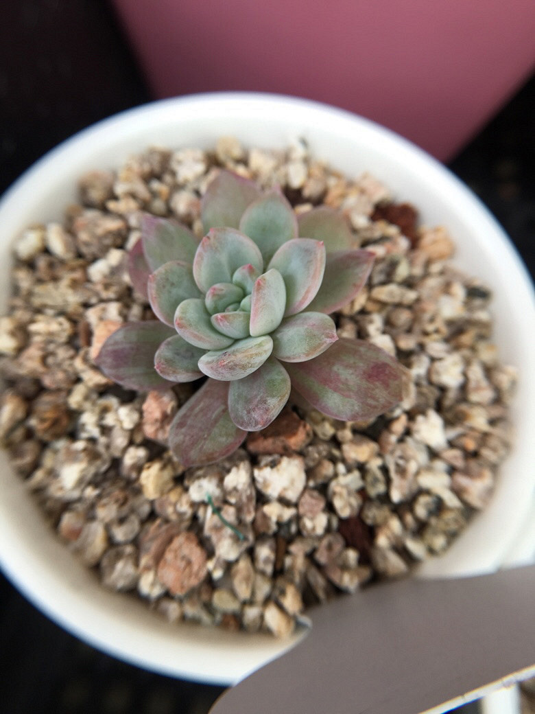 ��ϲ���Ķ���