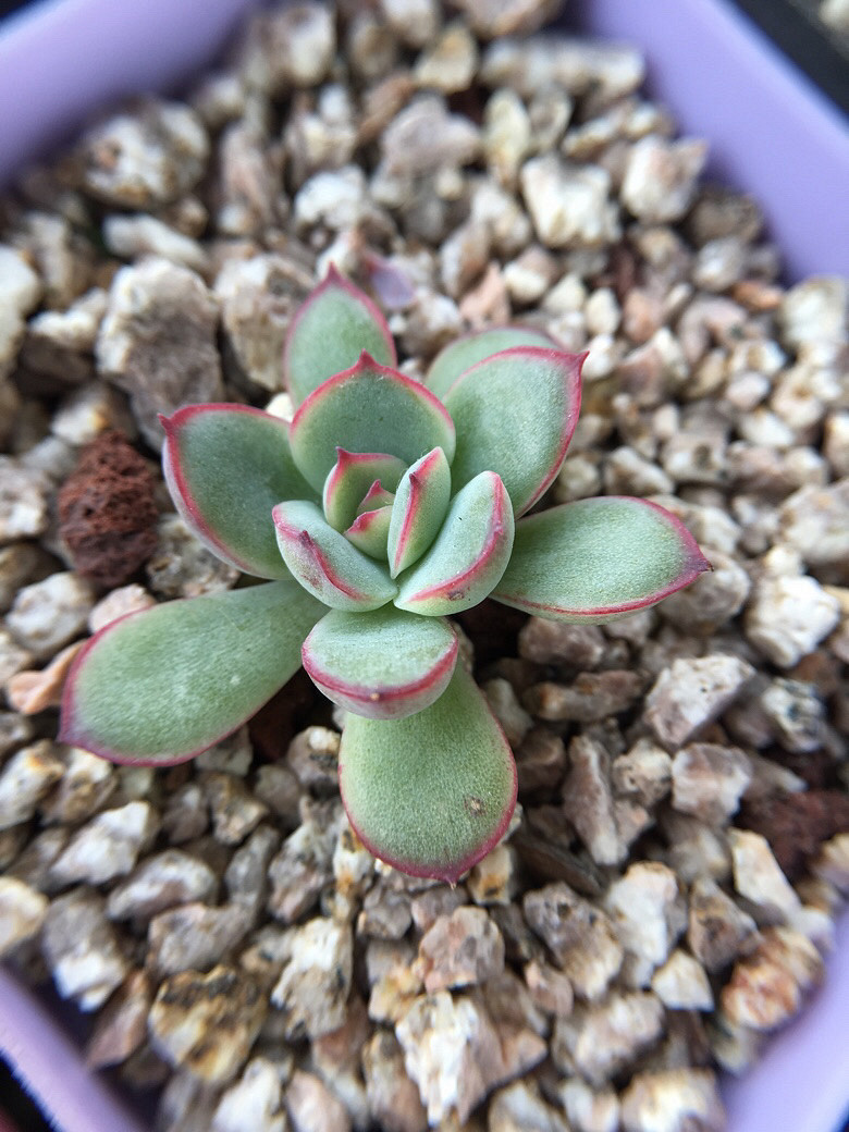 ��ϲ��������