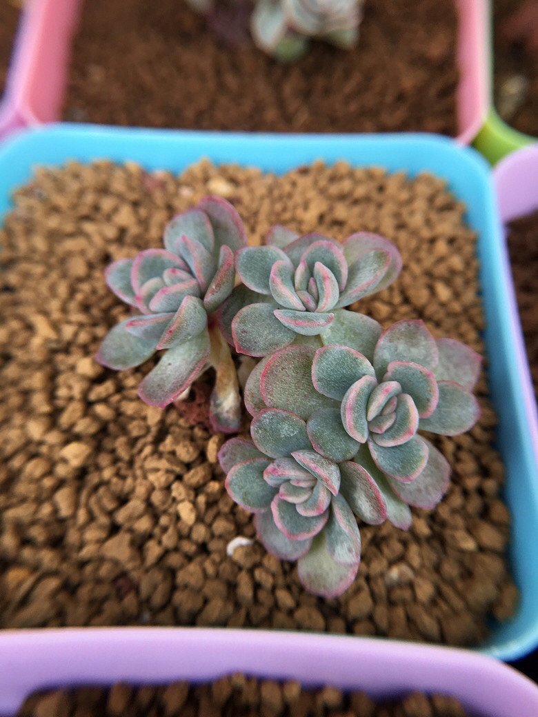 ��ϲ��������