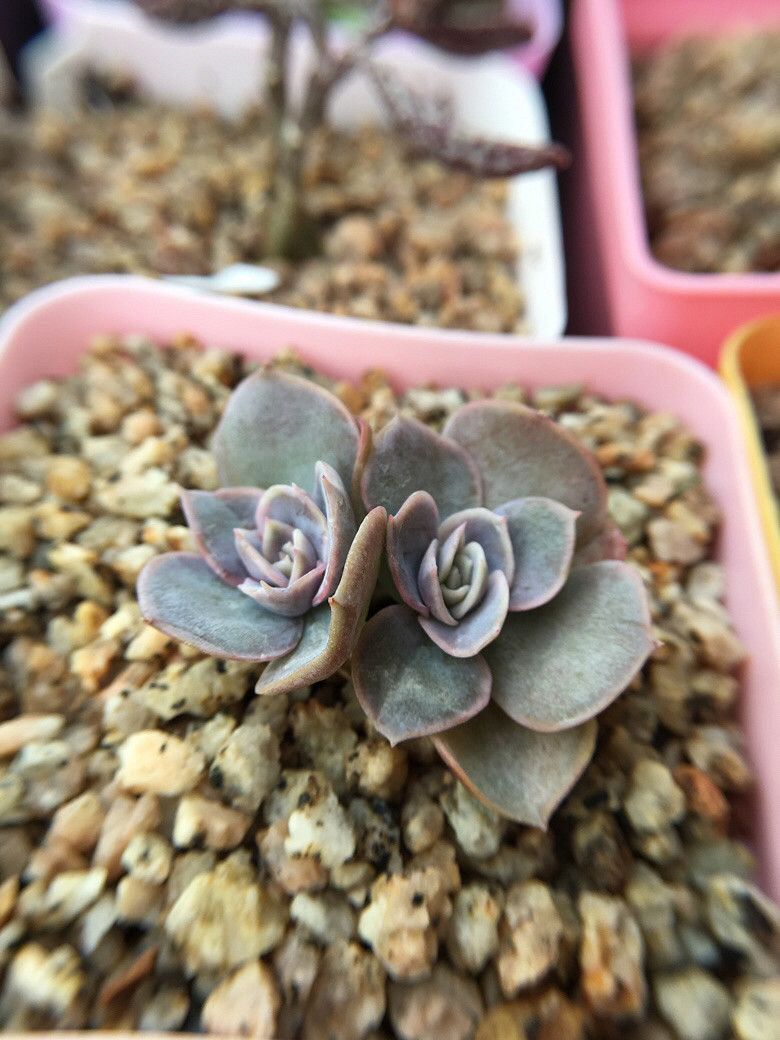 ��ϲ��������