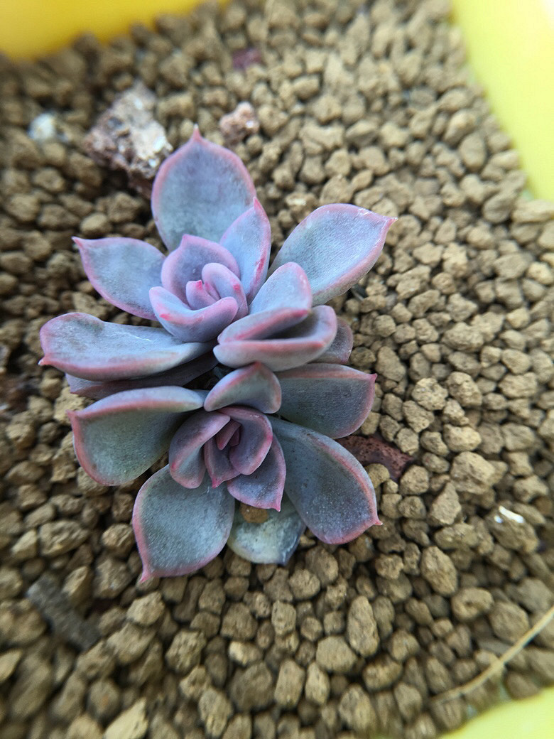 ��ϲ��������