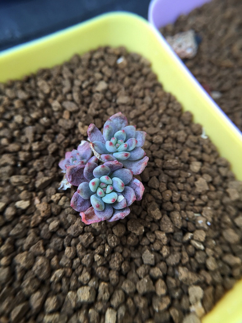 ��ϲ��������