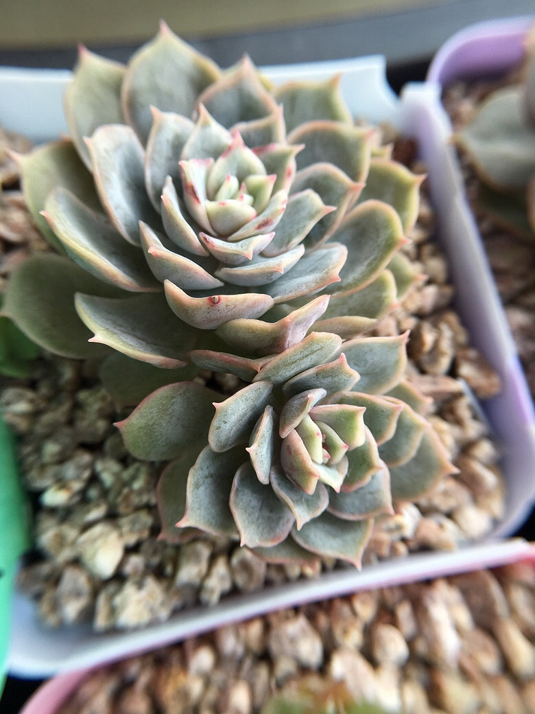 ��ϲ��������