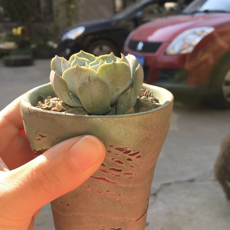 �����ҵ�����