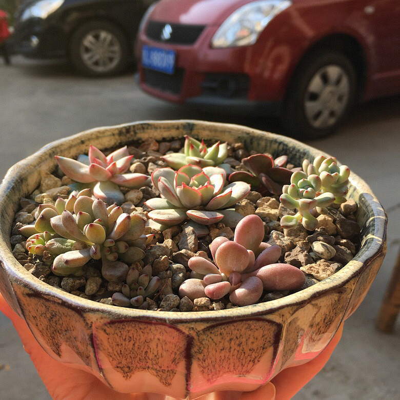 �����ҵ�����