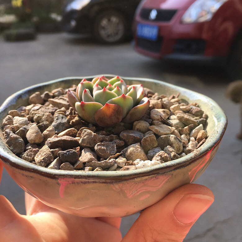 �����ҵ�����