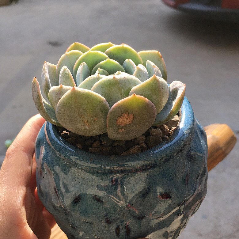 �����ҵ�����