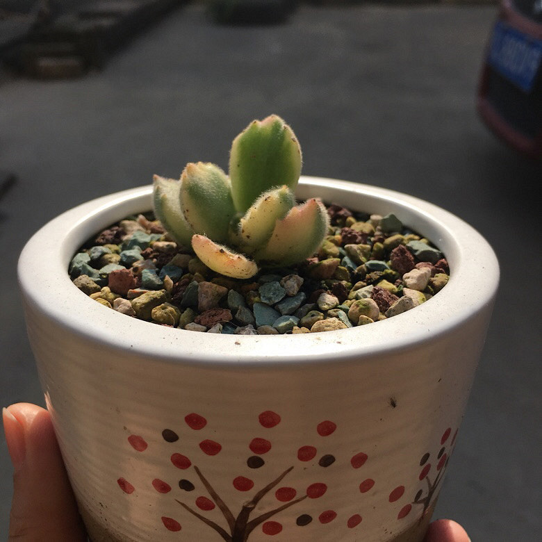 �����ҵ�����