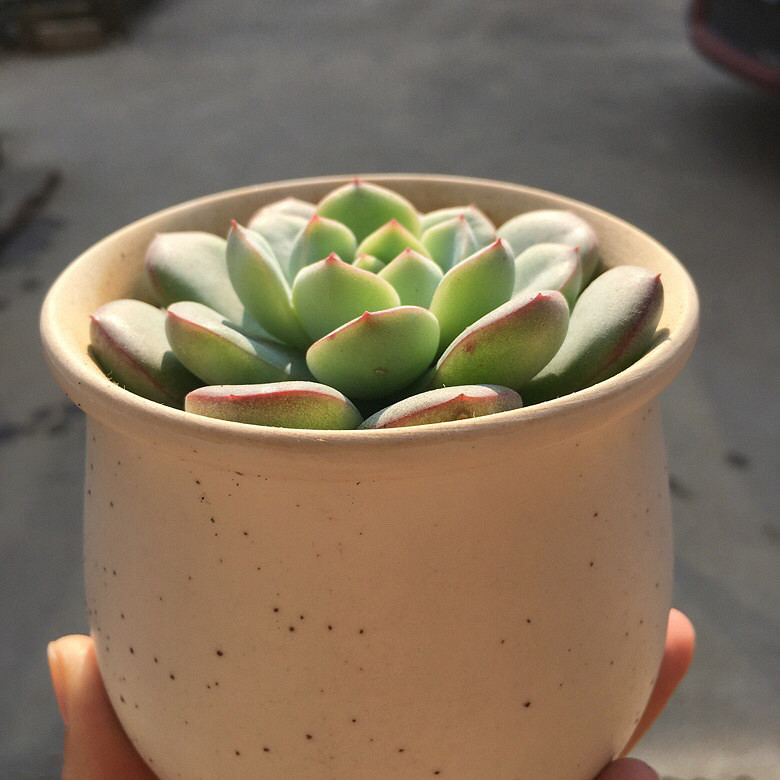 �����ҵ�����