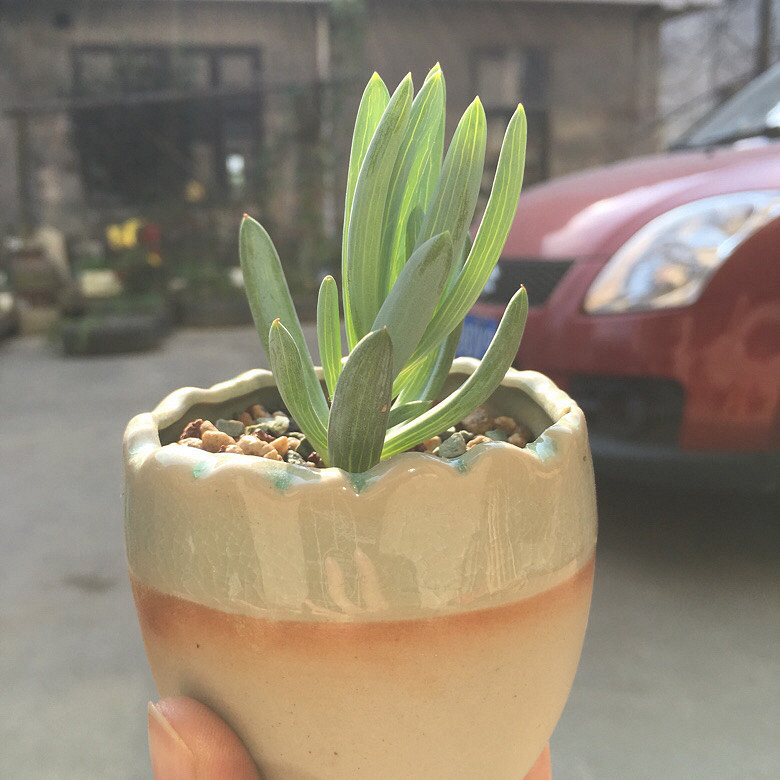 �����ҵ�����