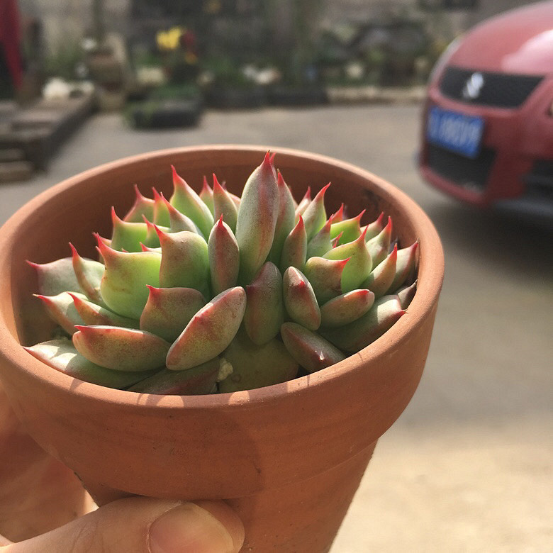 �����ҵ�����