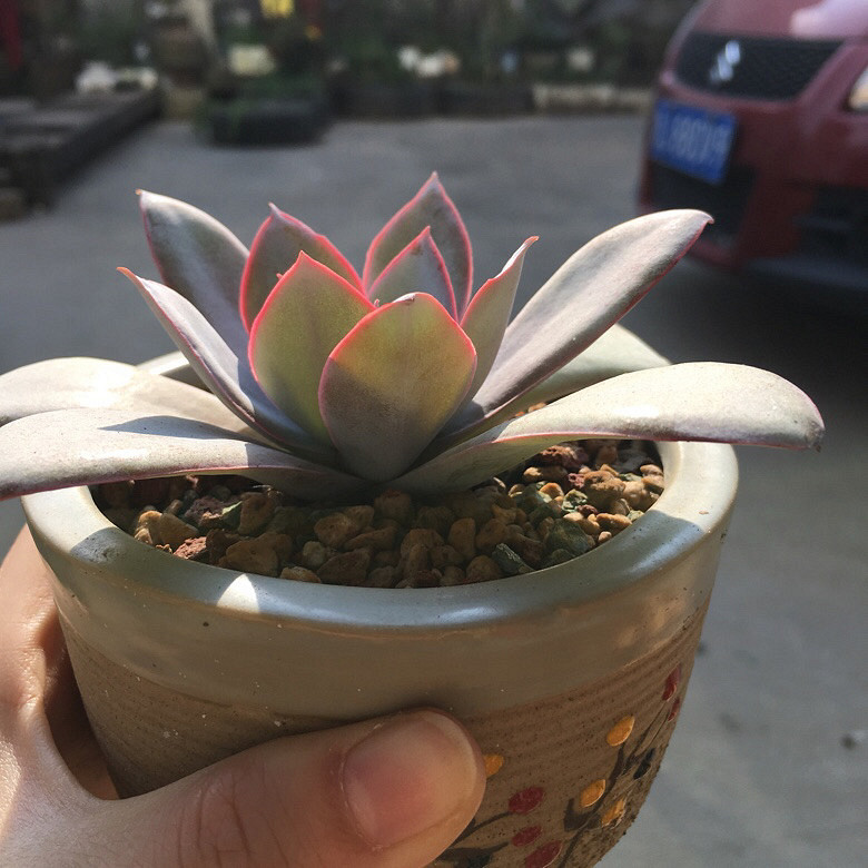 �����ҵ�����