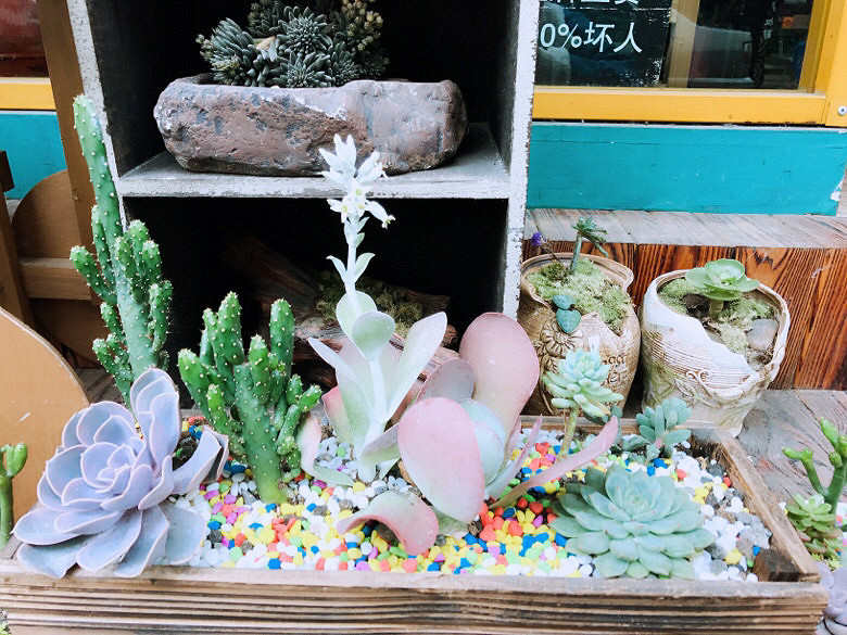 �������״̬����