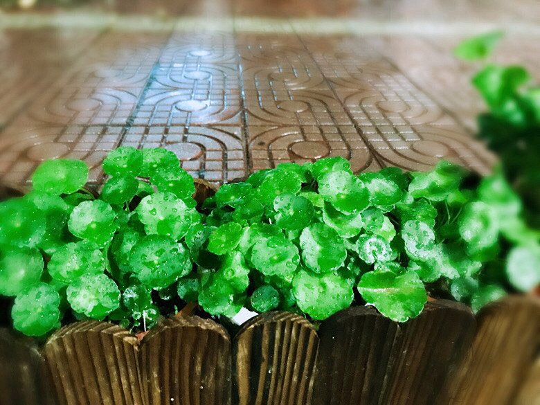 �������״̬����