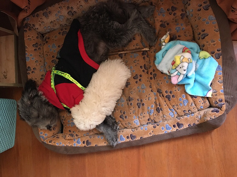 ���ܵ�һ��˯