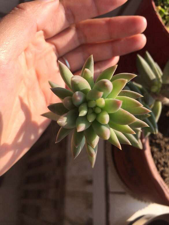 ��������һ��