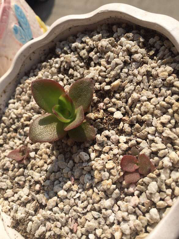 ��������һ��