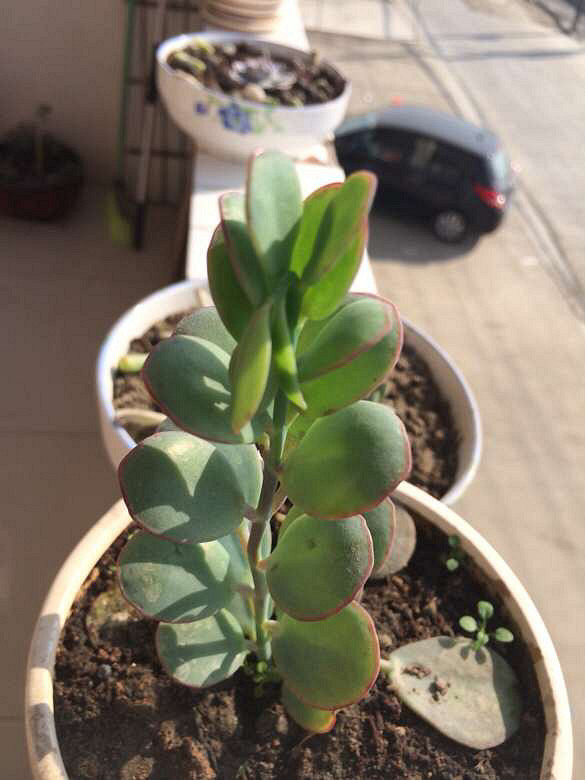 ��������һ��